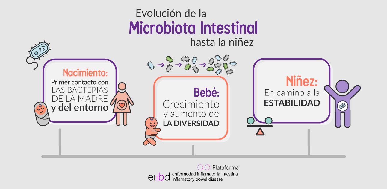 Desarrollo de la microbiota intestinal